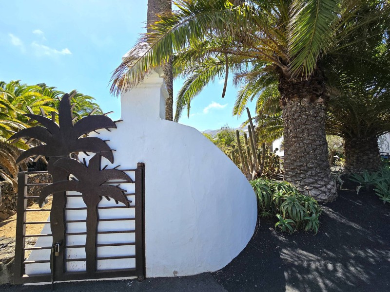 César Manrique Bild 8