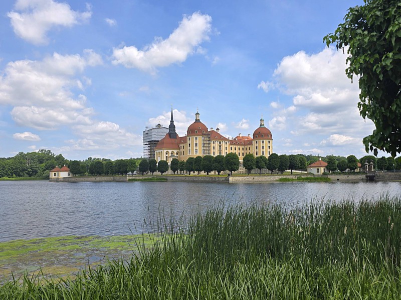 Käthe Kollwitz Bild 2