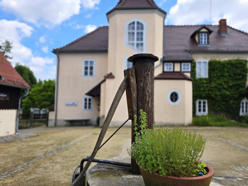 Käthe Kollwitz Bild 6