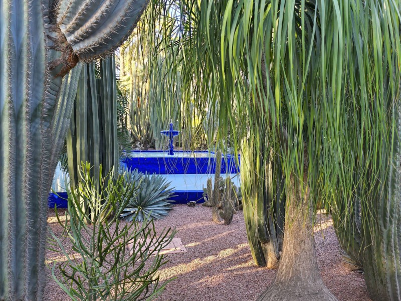 Yves Saint Laurent Bild 7