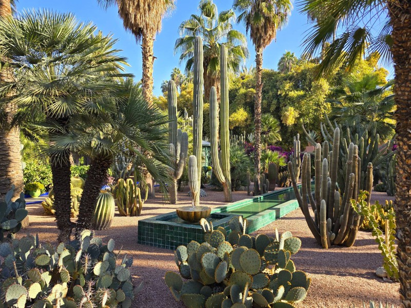 Yves Saint Laurent Bild 4