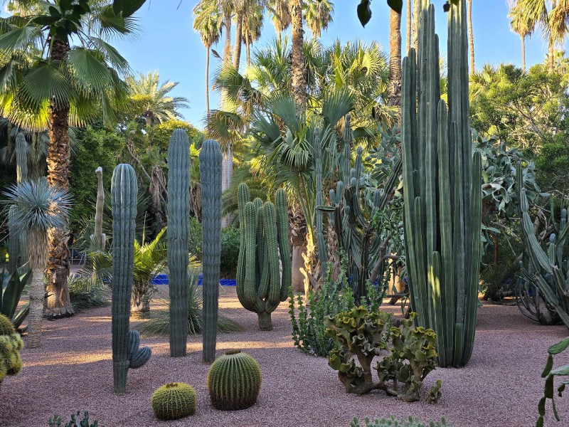 Yves Saint Laurent Bild 2