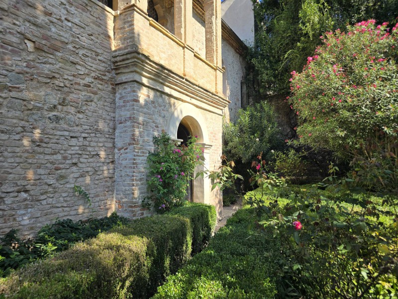 Francesco Petrarca Bild 7