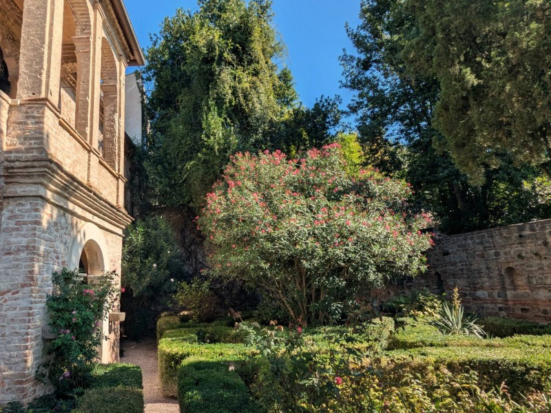 Francesco Petrarca Bild 5