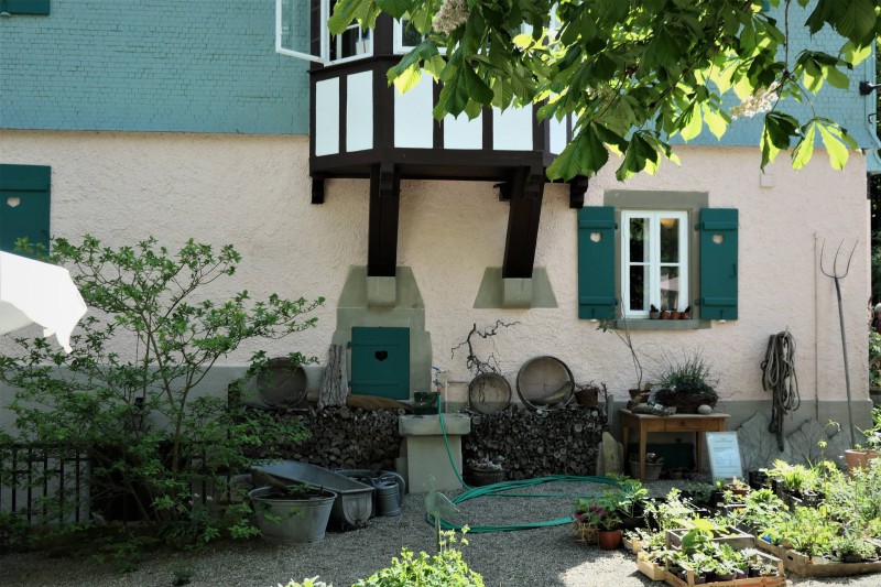 Hermann Hesse Bild 3