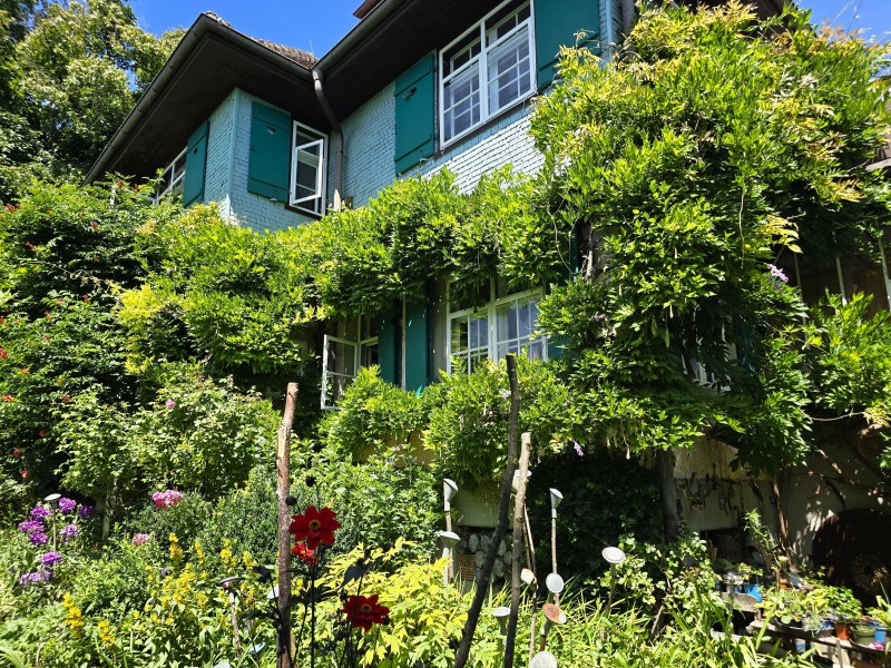 Hermann Hesse Bild 1