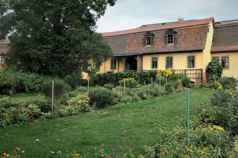 Johann Wolfgang von Goethe Bild 2