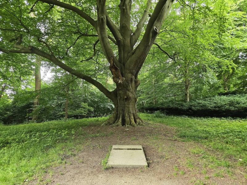 Karen Blixen Bild 8