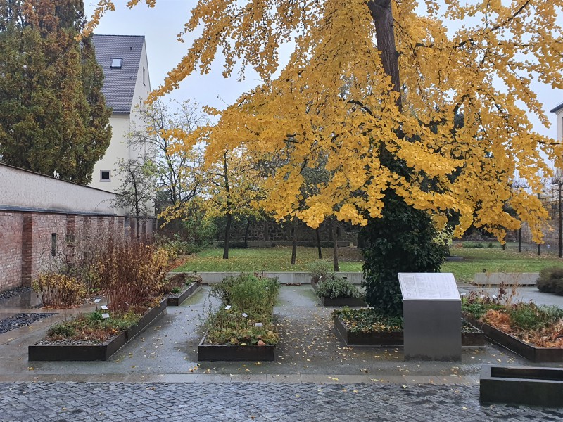 Philipp Melanchthon Bild 3