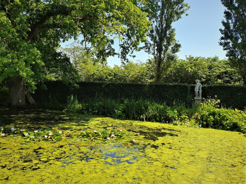 Vita Sackville-West Bild 3