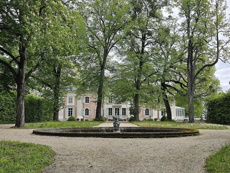 Voltaire Bild 6