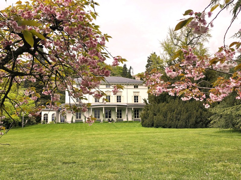 Charlie Chaplin Bild 6