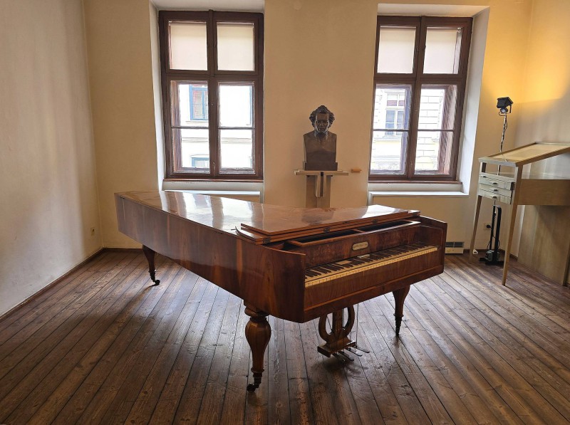 Franz Schubert Bild 3