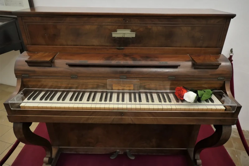 Frédéric Chopin Bild 3