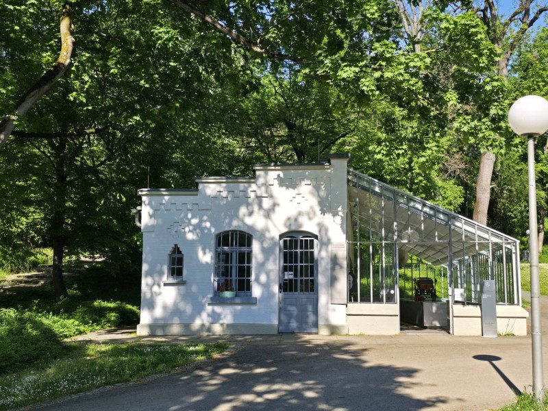 Gottlieb Daimler Bild 1