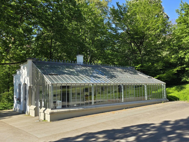 Gottlieb Daimler Bild 7